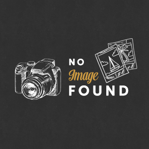 Guia Bolizyn Casino para Iniciantes Entenda Como Funcionam os Bônus